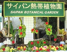 �M�ѐA����